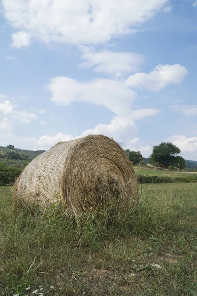 Balas redondas de paja en un campo en Toscana, Italia —  Fotos de Stock