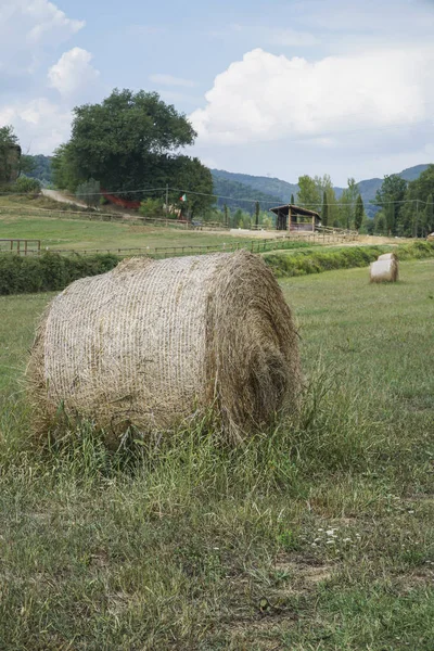 Fardos de palha redondos em um campo na Toscana, Itália — Fotografia de Stock