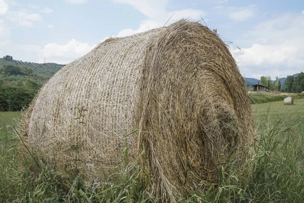 Круглые тюки на поле в Тоскане, Италия — стоковое фото