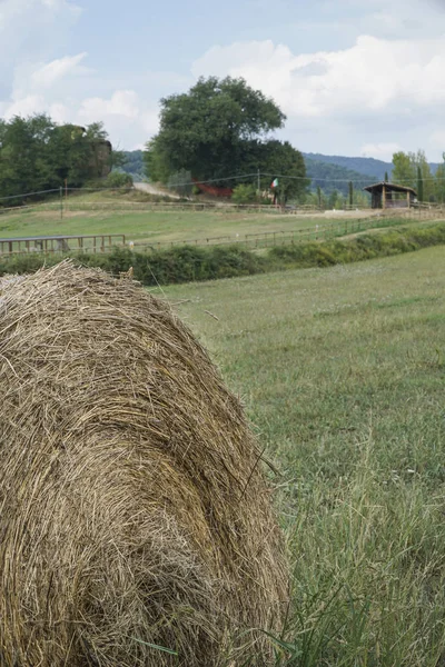 Balas redondas de paja en un campo en Toscana, Italia —  Fotos de Stock