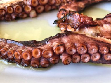 plaka üzerinde lezzetli ızgara ahtapot