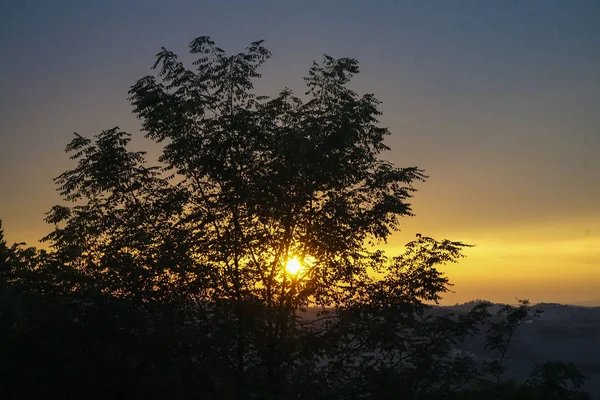 Soleil derrière un arbre juste avant le coucher du soleil — Photo