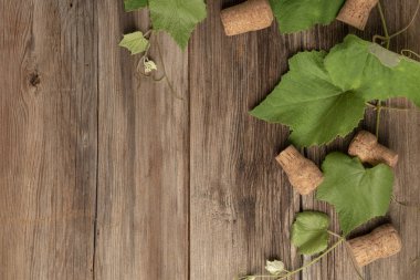 ahşap üzüm yaprakları ve şarap şişesi mantarları ile arka plan