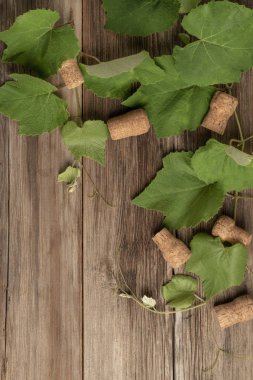 ahşap üzüm yaprakları ve şarap şişesi mantarları ile arka plan