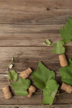 ahşap üzüm yaprakları ve şarap şişesi mantarları ile arka plan