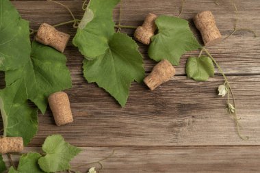 ahşap üzüm yaprakları ve şarap şişesi mantarları ile arka plan