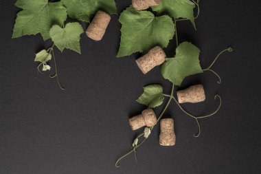 ahşap üzüm yaprakları ve şarap şişesi mantarları ile arka plan