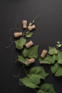 ahşap üzüm yaprakları ve şarap şişesi mantarları ile arka plan