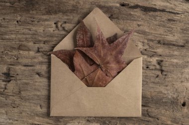 Ahşap zemin üzerinde kurumuş sonbahar yapraklarıyla dolu bir zarf.