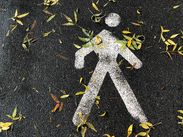 Close Voetgangers Wegwijzer Grond Bedekt Met Herfstbladeren — Stockfoto