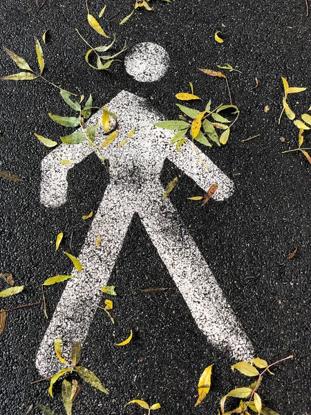 Close Voetgangers Wegwijzer Grond Bedekt Met Herfstbladeren — Stockfoto