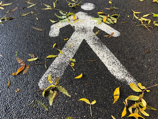 Close Voetgangers Wegwijzer Grond Bedekt Met Herfstbladeren — Stockfoto