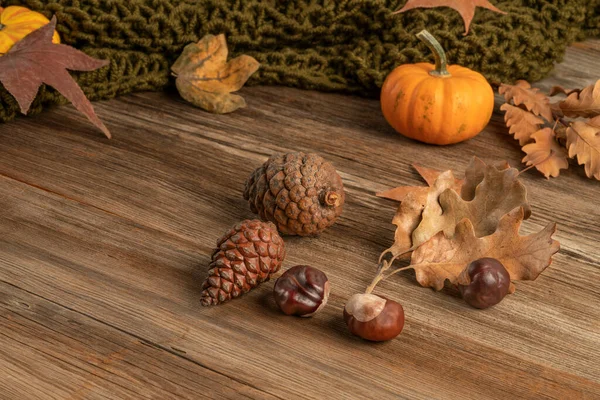 autumn template with pumpkins and dried leaves on wooden background with copy space