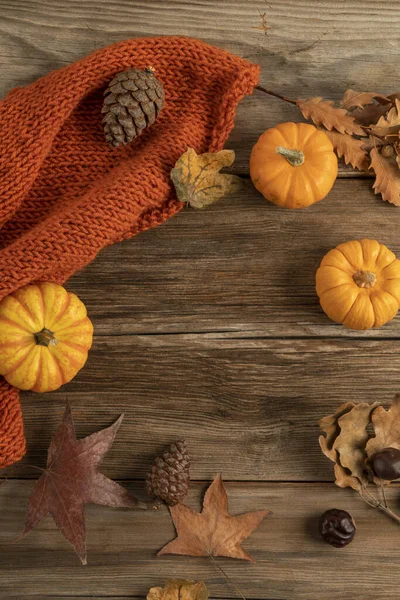 autumn template with pumpkins and dried leaves on wooden background with copy space