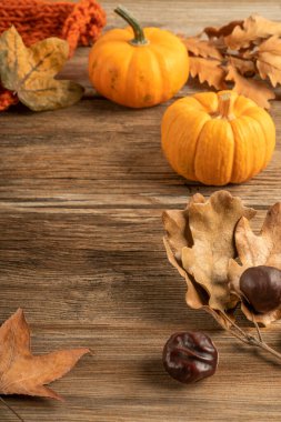 Kabaklı sonbahar şablonu ve ahşap zemin üzerinde kurumuş yapraklar kopya alanı ile
