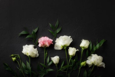eustoma çiçek ve siyah arka plan üzerinde dalları Üstten Görünüm