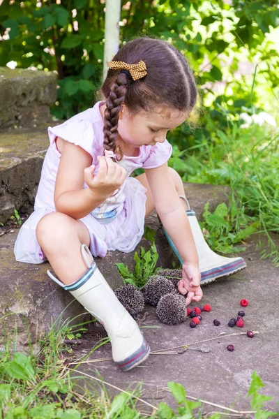 Baby Girl Playing Hedgehogs Outdoors — Stock Photo, Image