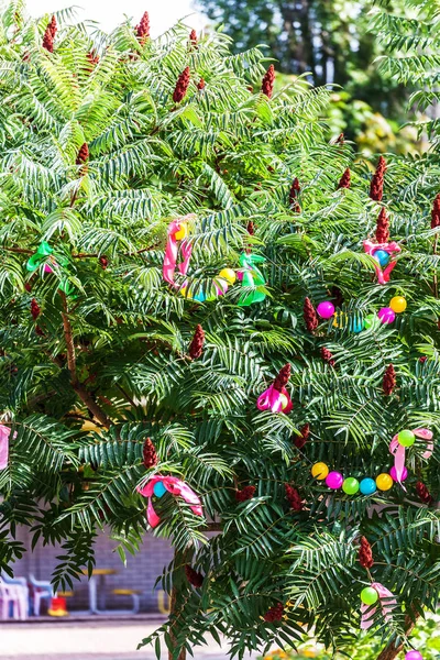 Tree Decorated Holiday Outdoors — Stock Photo, Image