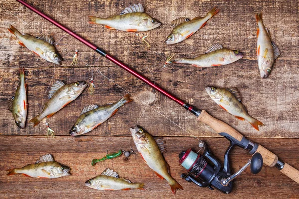 リール付けロッドを回転 餌とベース魚木製の背景 トップ ビュー — ストック写真