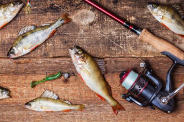 Çubuk ile makara iplik, yem ve bas balık ahşap arka planda, üstten görünüm