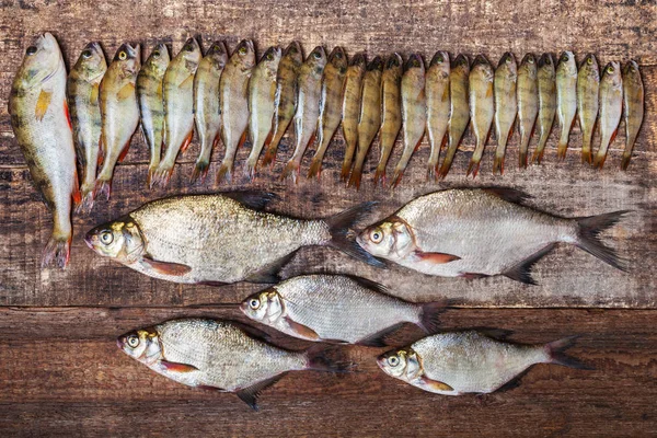 Fish Perches Bream Wooden Background Fishery Catch Top View — Stock Photo, Image