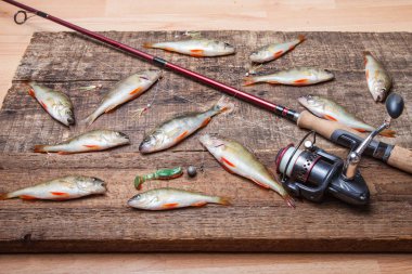 Çubuk ile makara iplik, yem ve bas balık ahşap arka planda, üstten görünüm