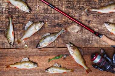 Çubuk ile makara iplik, yem ve bas balık ahşap arka planda, üstten görünüm