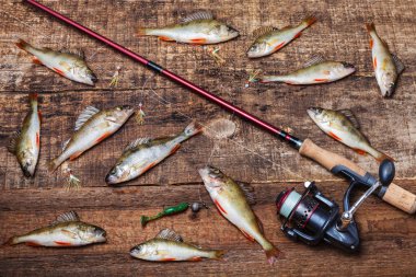 Çubuk ile makara iplik, yem ve bas balık ahşap arka planda, üstten görünüm