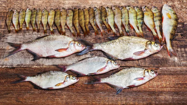 Fish Perches Bream Wooden Background Fishery Catch Top View — Stock Photo, Image