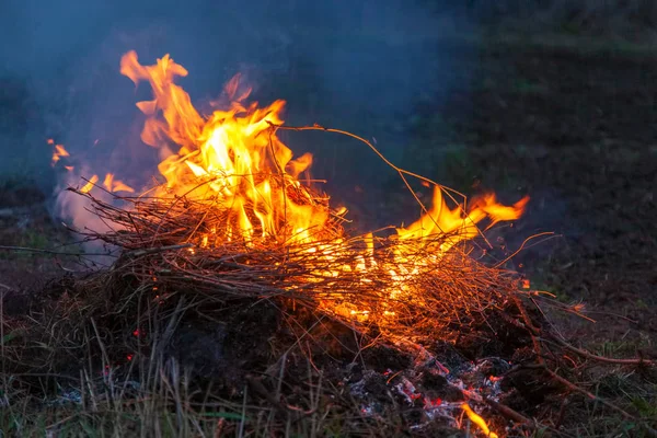 Vlam Brand Het Veld Tijd Avond — Stockfoto