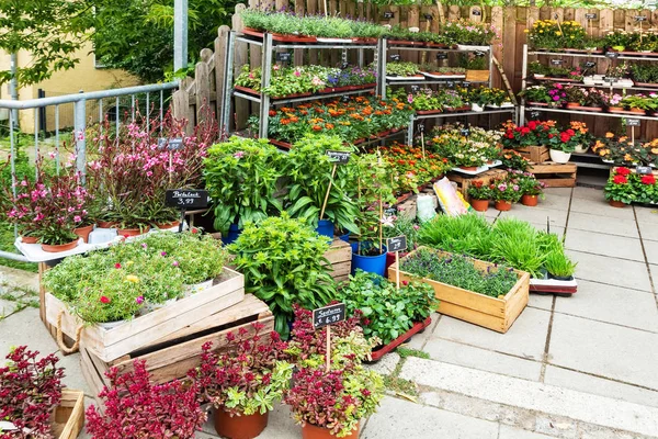 Blumen Zum Verkauf Auf Dem Blumenmarkt Berlin — Stockfoto