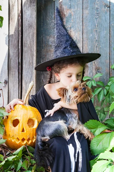Halloween Und Das Feierkonzept Schöne Kindermädchen Hexenkostüm Mit Halloween Kürbis — Stockfoto