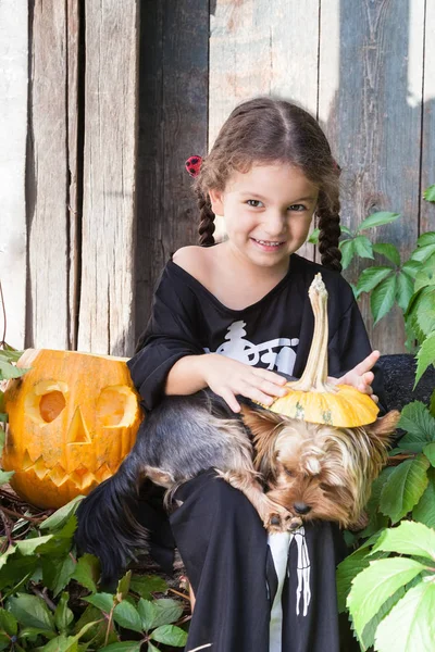万圣节和庆祝的概念 美丽的孩子女孩女巫服装与万圣节南瓜在户外拿着一条狗约克夏犬 — 图库照片