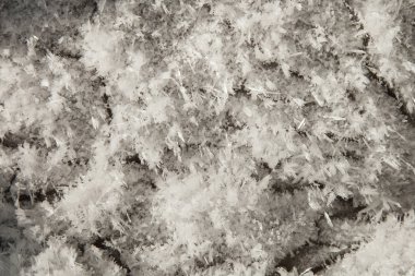 Granit taşlar closeup hoarfrost, kış arka plan ile kaplı