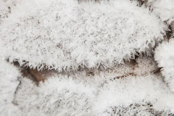 Closeup Granite Stones Covered Hoarfrost Winter Background — Stock Photo, Image