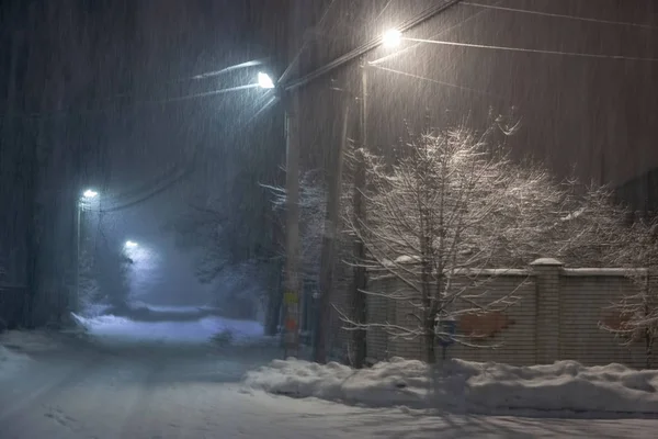 Krajobraz Zimowej Nocy Opadającymi Płatkami Śniegu Mroźne Drzewa Zimowe Światła — Zdjęcie stockowe
