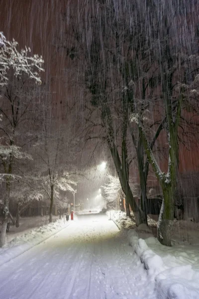 Winternächtliche Landschaft Mit Fallenden Schneeflocken Frostigen Winterbäumen Und Straßenlaternen — Stockfoto