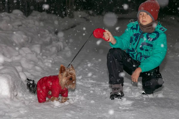 Boy walks with the dog in winter at night during heavy snow