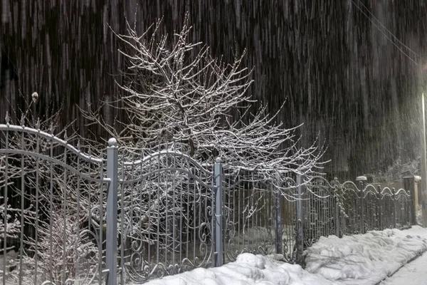 Winter night landscape with falling snowflakes, frosty winter trees and fence