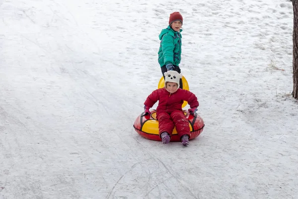 Bruder Zieht Schwester Auf Schlauchschlitten Auf Der Schanze Freien Wintertag — Stockfoto