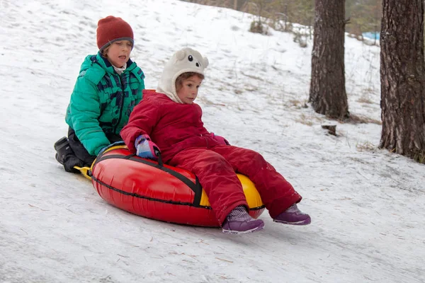 男孩和女孩在户外的雪橇上滑下山 冬天的日子 骑下山 冬季游戏和乐趣 — 图库照片