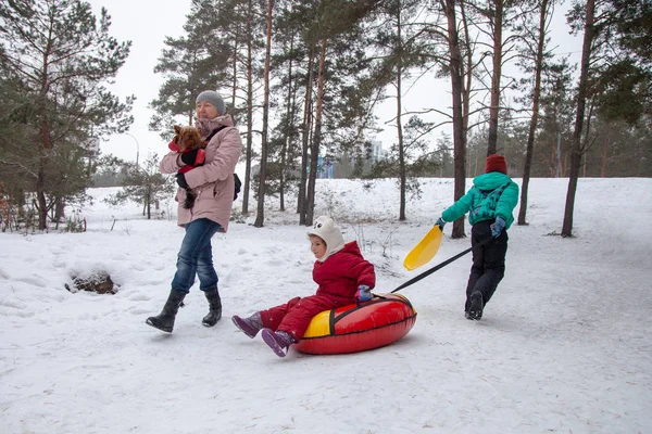 Grandchildren Grandmother Dog Walk Winter Forest — Stock Photo, Image