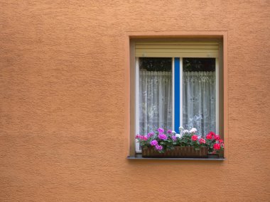 Boş alan, tipik Avrupa pencere turuncu duvar üzerinde Sardunya çiçekleri ile süslenmiş pencere