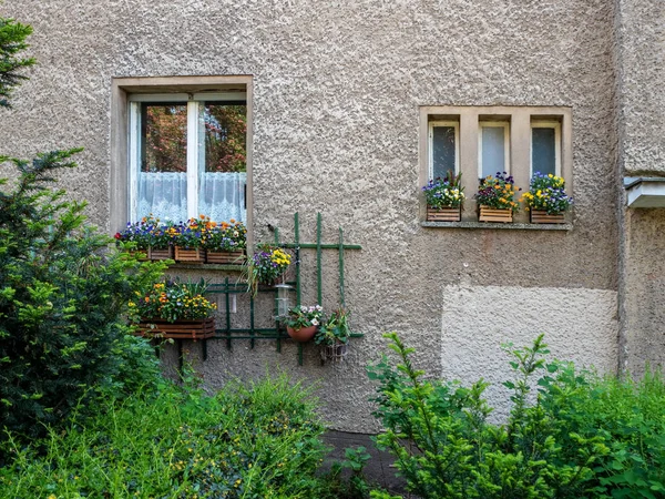 Ventana Decorada Con Flores Geranio Pared Naranja Ventana Típica Europea —  Fotos de Stock