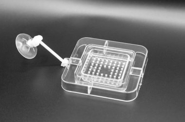 İki tek plastik akvaryum balık, koyu arka plan üzerinde yakın çekim için yalak besleme kombine