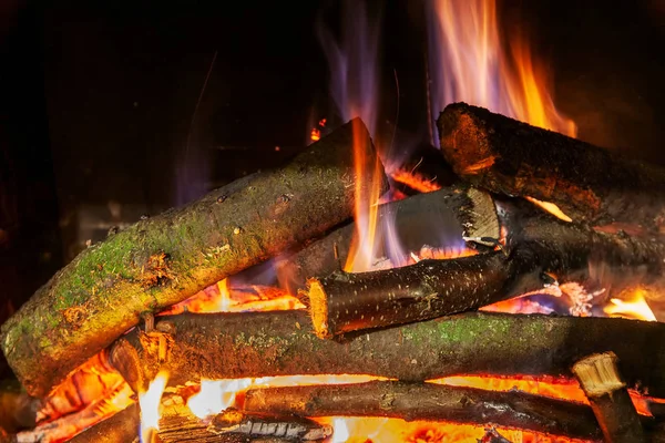 Schot brandhout te verbranden in de open haard — Stockfoto