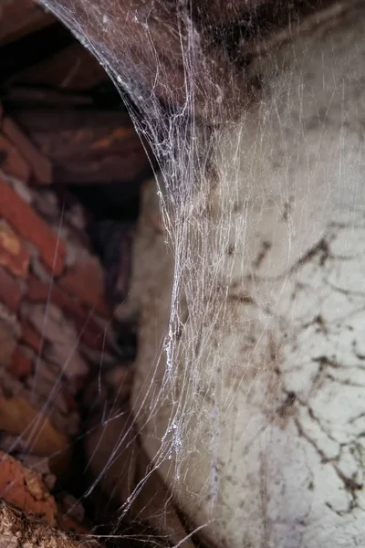 Spinnennetz oder Spinnennetz in altem Haus — Stockfoto