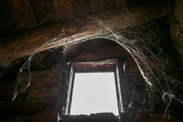 La lumière éclaire une toile d'araignée par la fenêtre — Photo