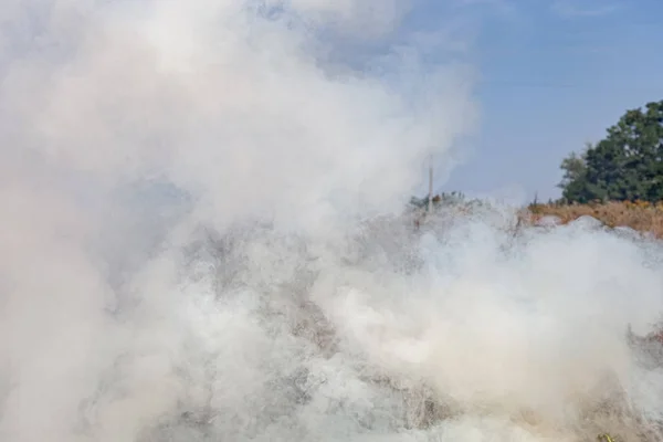 Vuur in de wei, opgeblazen dikke rook — Stockfoto