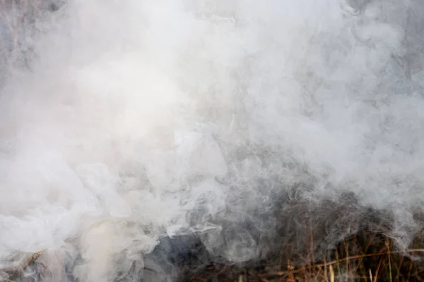 Fire in the meadow, billowing thick smoke — Stock Photo, Image